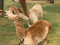 -南京金牛湖风景区