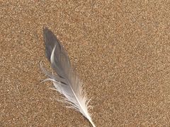 -青岛银沙滩