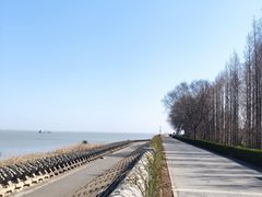 -上海滨江森林公园