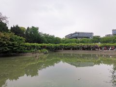 -嘉定紫藤园
