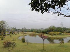 -夏河溪乡野公园