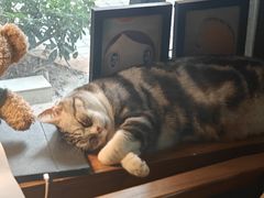 -咖法森林·咖啡  酒吧(天河店)