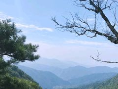 -王顺山国家森林公园