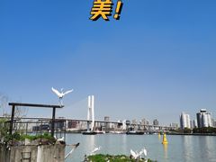 -上海当代艺术博物馆