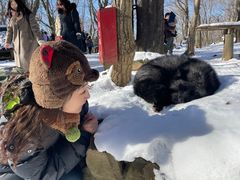 -宫城藏王狐狸村