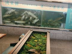 -淘米捞·米汤脆鲩鱼火锅(福田皇岗店)