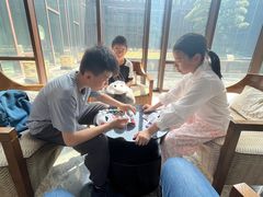 -上海崇明金茂凯悦酒店