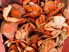 -宋园·金宴浙鲜馆(静安店)