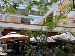 -缘生态云南菜·野生菌庭院餐厅(华侨城店)