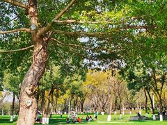 -重庆中央公园(渝北区)