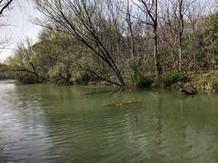 -昆山城市生态森林公园