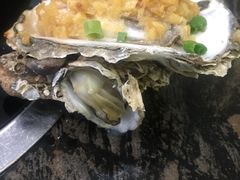 -蚝专家