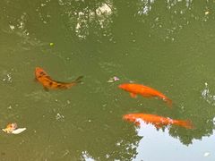 -绳金塔