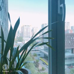 点击看大图 -Yue Show馨选·半永久纹眉纹眼线