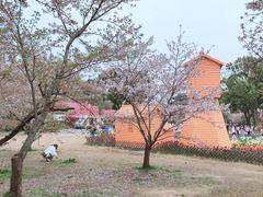 -苏州上方山国家森林公园