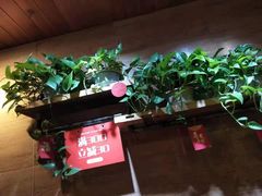 -管氏翅吧(护国寺店)