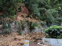 -梧桐山风景名胜区