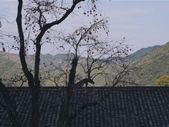 -丹山赤水风景名胜区