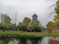 -洋湖国家湿地公园