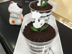 巧克力乳酪-糯米喵星人·撸猫猫舍咖啡馆(西市场嘉华店)