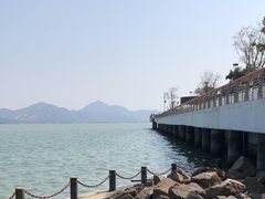 -深圳湾公园(南山区)