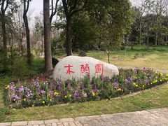 -上海滨江森林公园