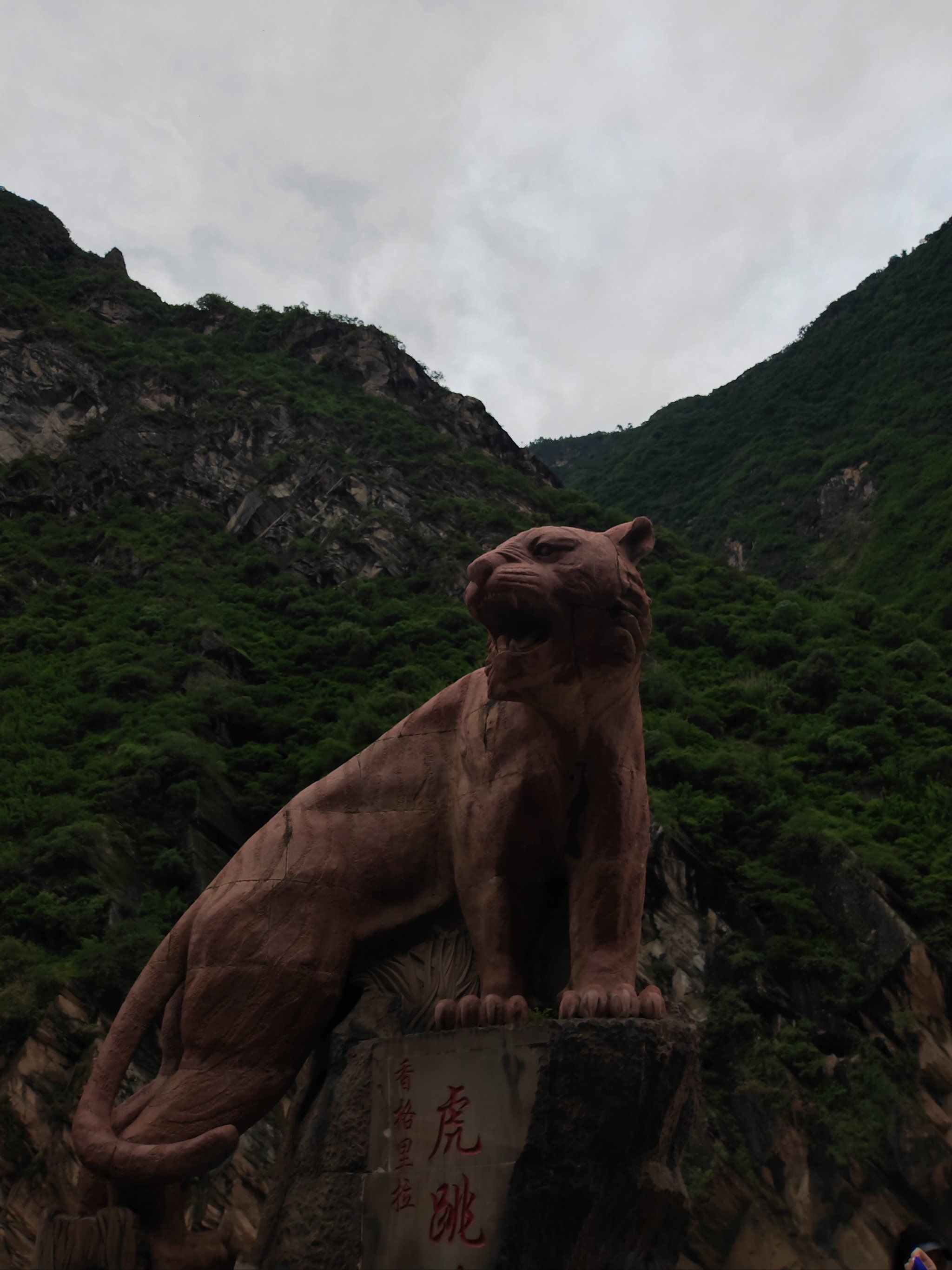 虎跳峡的老虎,威风不威风!
