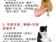 -宠福鑫动物医院·动物疾病诊疗中心(天通苑店)