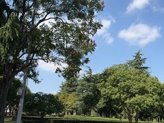 -七欣天香辣蟹火锅(上海银亿滨江店)