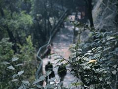 -黔灵山公园