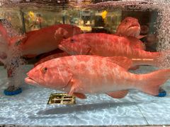 -阿伟海鲜楼·福建菜(延寿店)