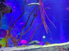 -沈阳海洋探索中心