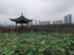 -南宁南湖公园