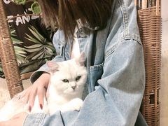 -平行世界·猫咖(首经贸店)