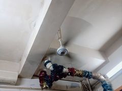 -隆康社长沙烧烤铺(桔园店)
