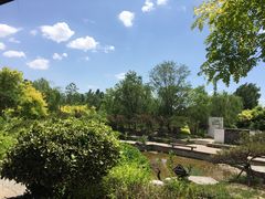 -武清南湖绿博园