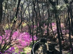 -红螺寺