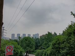 -重庆彩云湖湿地公园