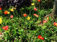 -铁山坪森林公园