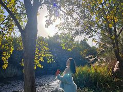 -白鹭湾湿地公园