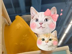 -萌太极儿童成长乐园(即墨宝龙广场店)