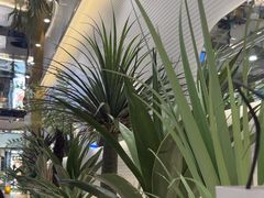 -兰湘子·湘菜小炒(崂山丽达店)