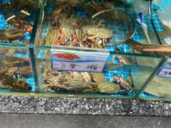 鲜活飞蟹-渔码头食府·20年蓬莱老字号(登州路店)