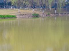 -沐仙湖湿地公园