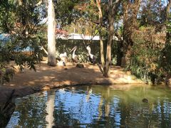 -费瑟代尔野生动物园