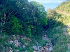 -广州市帽峰山景区
