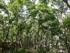 QQ图片20130725144601-燕儿岛山公园