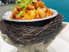 -丁老爷子苏香圆