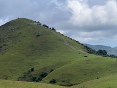-大姆山草场