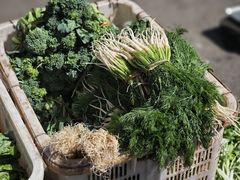-大观篆新农贸市场